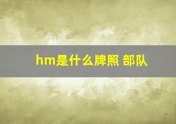 hm是什么牌照 部队